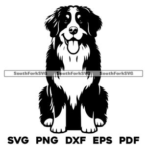 Berner Sennenhund sitzend Design | svg png dxf eps pdf | Vektorgrafik Datei Laser Clip Art schneiden | sofortiger digitaler Download kommerzielle Nutzung