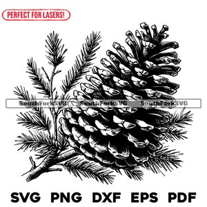 Incisione laser file pigna sul ramo svg png dxf eps pdf / progettazione grafica vettoriale taglio stampa colorante sub cnc uso commerciale digitale