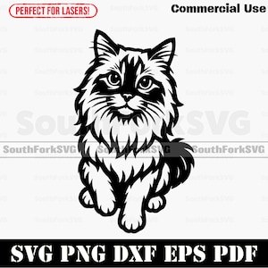 Ragdoll Cat Begging svg png dxf eps pdf | vector graphic cut print stencil laser clip art | instant digital download commercial use