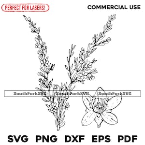 Arquivos de gravação a laser Myrtle Flowers svg png dxf eps pdf design gráfico vetorial corte impressão sublimação de tinta arquivos digitais uso comercial