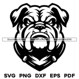 Bulldog Head Middle High School Sports Team Mascot  | svg png dxf eps pdf | vector graphics design cut print dye sub laser digital files