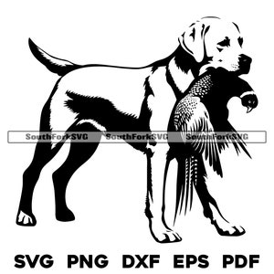 May include: Black and white silhouette of a Labrador Retriever dog carrying a pheasant in its mouth.