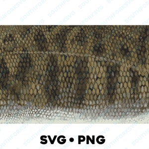 Achigan à petite bouche motif de peau SVG PNG truite achigan brochet maskinongé marigane pêche à la mouche conception vecteur pêche chasse 1