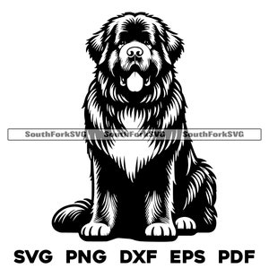 Neufundländer sitzend Design | svg png dxf eps pdf | Vektorgrafik Datei Laser Clip Art schneiden | sofortiger digitaler Download kommerzielle Nutzung