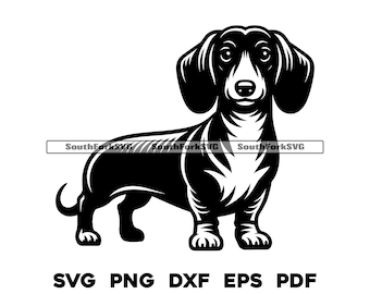Teckel debout pour chien Weiner | svg png dxf eps pdf | graphique vectoriel découpé fichier laser clip art | Téléchargement numérique instantané, utilisation commerciale