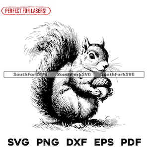 Écureuil avec gland fichiers de gravure laser svg png dxf eps pdf | Fichiers cnc graphiques découpés, impression à colorant, utilisation commerciale