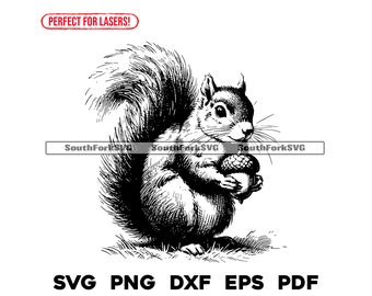 Squirrel with Acorn Laser Engrave Files svg png dxf eps pdf | graphic cut print dye sub laser cnc files commercial use