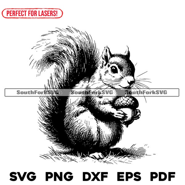 Squirrel with Acorn Laser Engrave Files svg png dxf eps pdf | graphic cut print dye sub laser cnc files commercial use