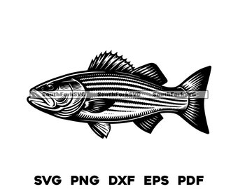 Striped Bass, Striper 1 | svg png dxf eps pdf | transparent vector graphic design cut print dye sub laser engrave files commercial use