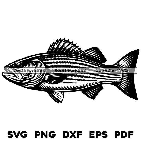 Striped Bass, Striper 1 | svg png dxf eps pdf | transparent vector graphic design cut print dye sub laser engrave files commercial use