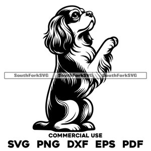 Cavalier King Charles Spaniel mendigando svg png dxf eps pdf / archivo de corte gráfico vectorial clip art láser / descarga digital instantánea uso comercial