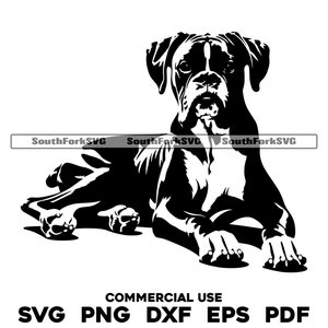 Könnte beinhalten: Schwarz-weiße Silhouette eines Boxers, der auf dem Boden liegt. Der Hund blickt zum Betrachter, der Kopf ist zur Seite gedreht. Die Ohren des Hundes sind schlaff und der Schwanz ist eingerollt.