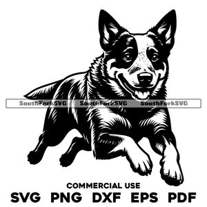 Heeler Laufen Design | svg png dxf eps pdf | Vektorgrafik Datei Laser Clip Art schneiden | sofortiger digitaler Download kommerzielle Nutzung