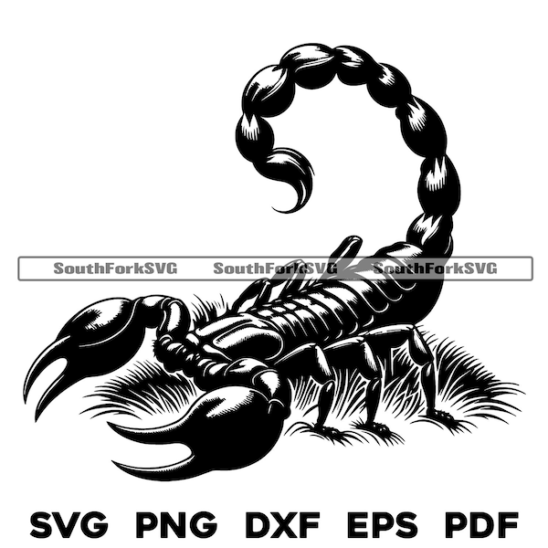 Scorpion in Grass Design | svg png dxf pdf eps | vector graphic design cut print dye sub laser engrave digital files commerial use