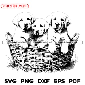 Labrador Retriever Welpen in einem Korb Laser Gravur Dateien svg png dxf eps pdf | Grafik geschnitten Druck Dye Sub Laser Cnc Dateien Kommerzielle Nutzung