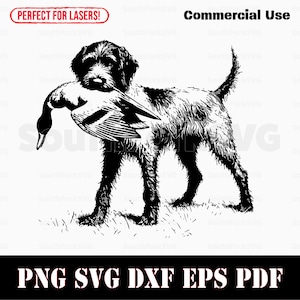 Ponteiro de pelo duro alemão caçando pato svg png dxf eps pdf | arquivo de corte de gráfico vetorial laser clip art | download instantâneo uso comercial