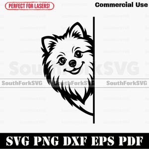 Peering Peeking Pomeranian Dog svg png dxf eps pdf | vector graphic cut file laser clip art instant digital download commercial use