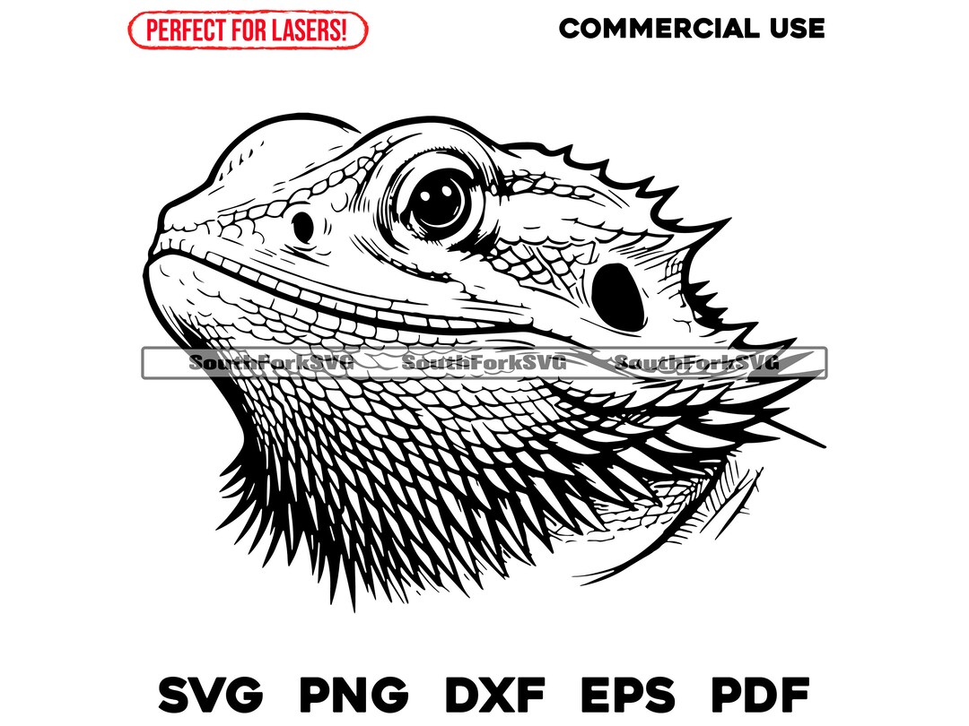 Bearded Dragon Head Laser Engrave File Svg Png Dxf Eps Pdf | Vector ...