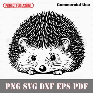 Cute Hedgehog Design | svg png dxf eps pdf | vector graphic cut file laser clip art | instant digital download commercial use