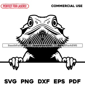 May include: Black and white line art illustration of a bearded dragon peeking over a surface. The dragon has a large head with a long beard and large eyes.