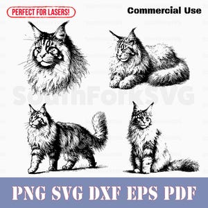 Ensemble portrait de chat Maine coon svg png dxf eps pdf | Fichier de découpe graphique vectoriel, gravure au laser, utilisation commerciale de clip art en téléchargement numérique