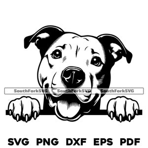 Pitbull hond gluren svg png dxf eps pdf | vectorafbeelding gesneden bestand laser clip art instant digitale download commercieel gebruik