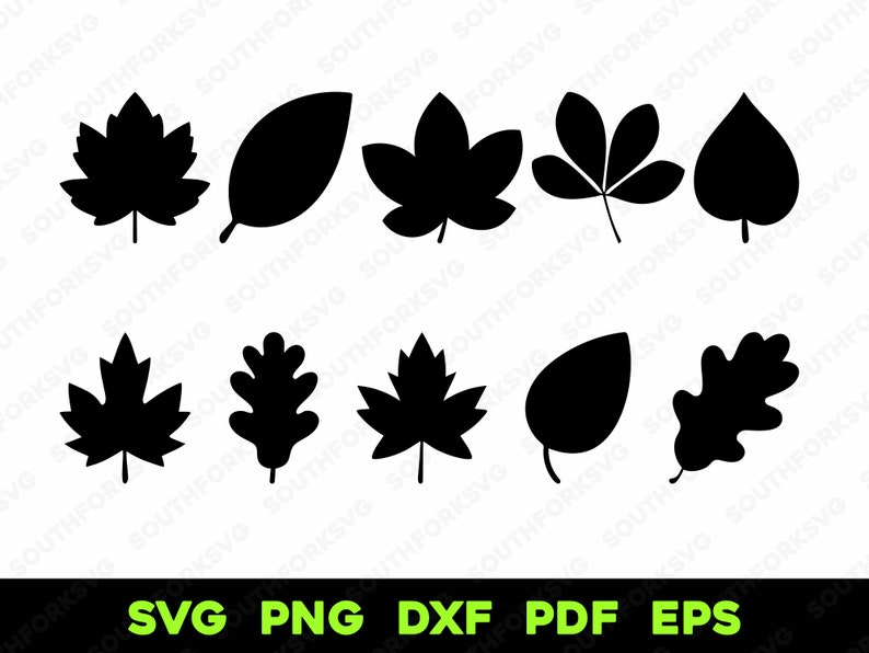May include: A set of ten black silhouette leaf shapes, including maple, oak, and other leaf types. The leaves are arranged in two rows of five.