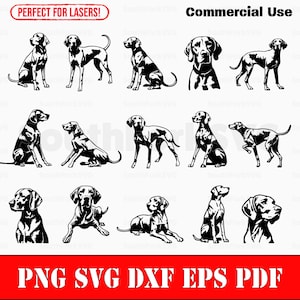 Simple Vizsla Bundle Pack svg png dxf eps pdf | vector graphic cut file laser clip art | instant digital download commercial use