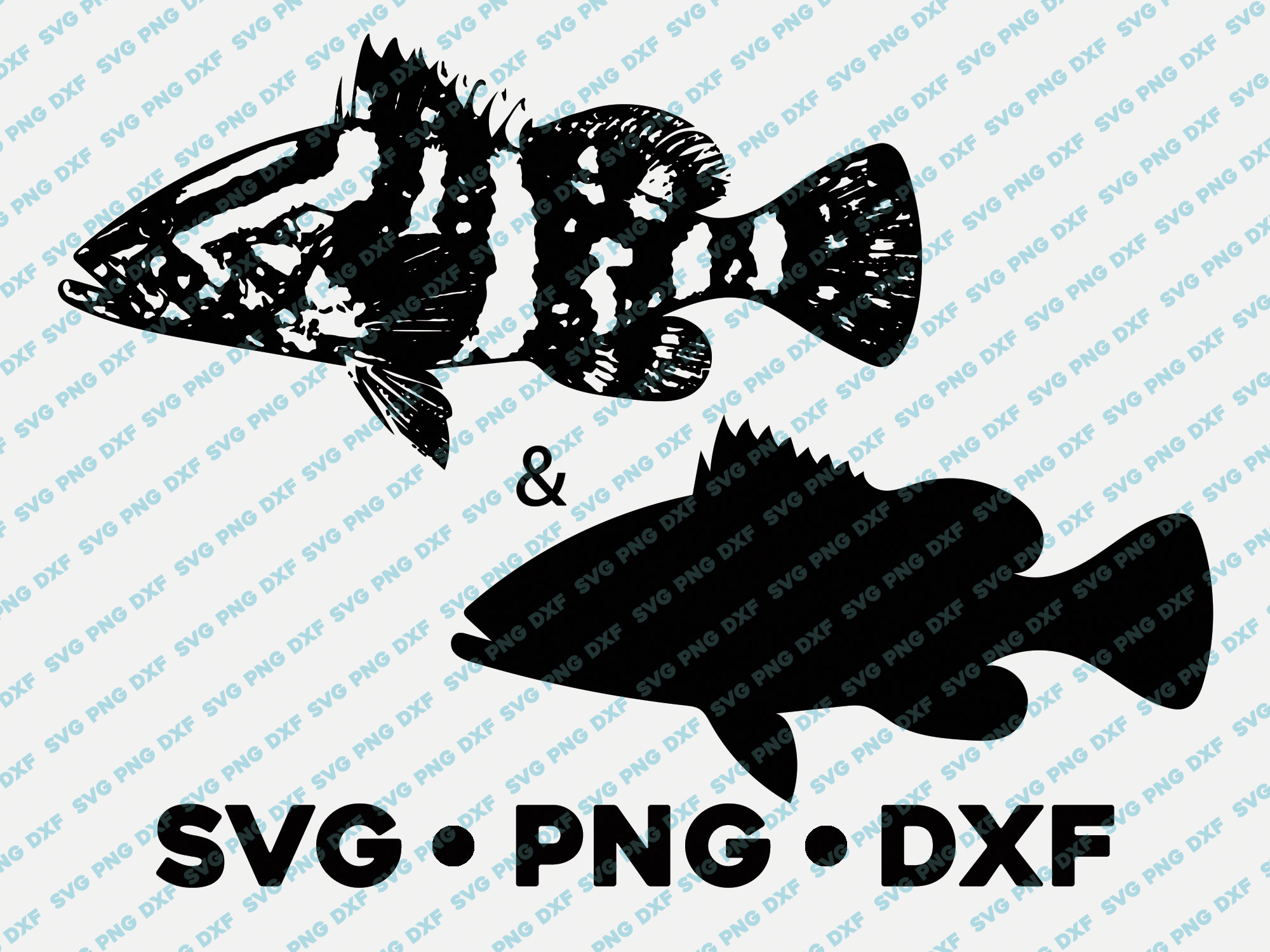 Grouper Nassau SVG PNG DXF vector transparent cricut cameo | Etsy