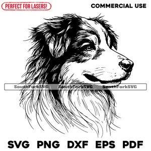 Puede incluir: Ilustración en blanco y negro de línea de arte de la cabeza de un perro pastor australiano. El perro está mirando hacia la derecha y tiene una expresión amigable.