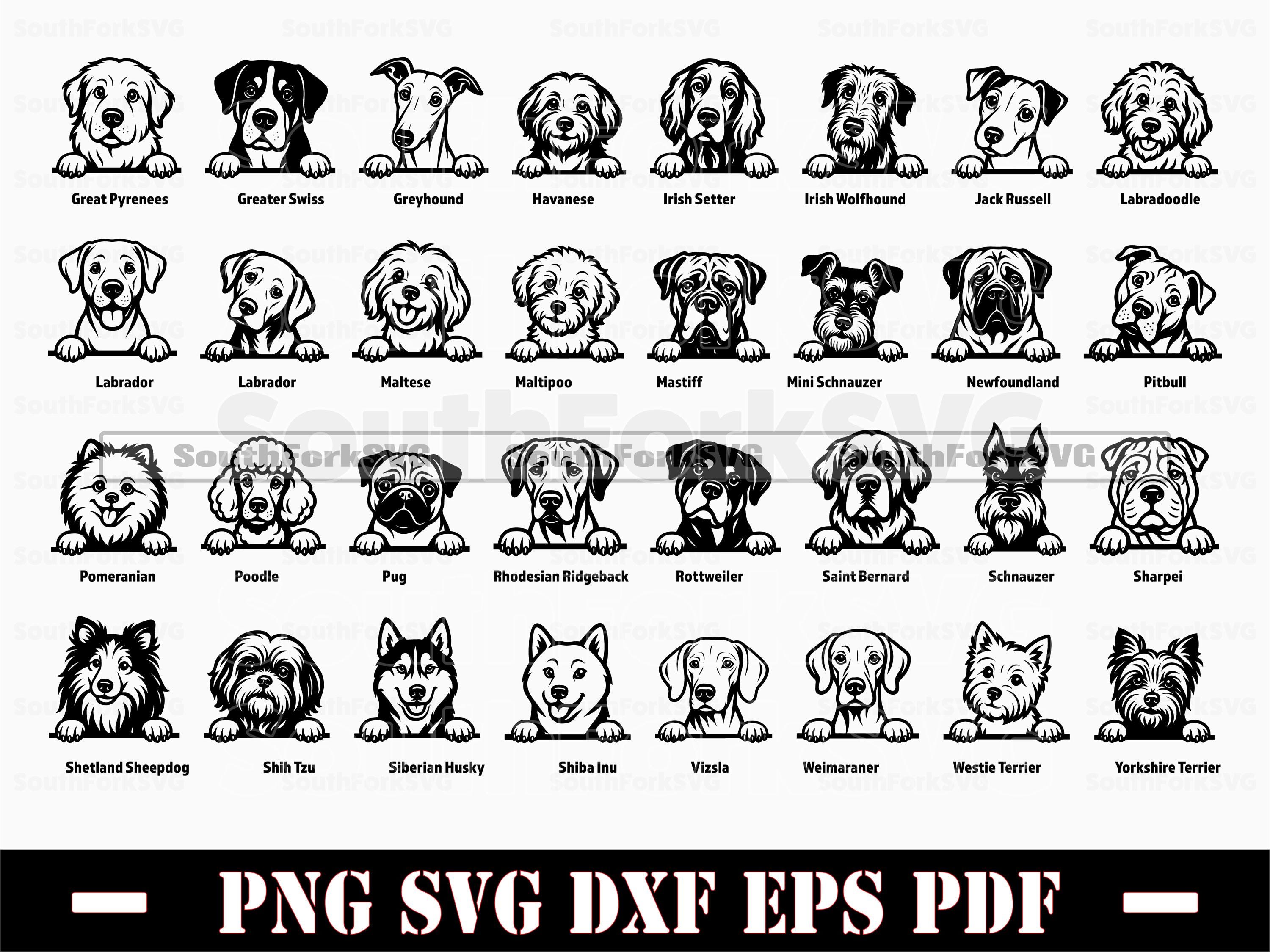 63 Peeking Dogs Mega Bundle Svg Png Dxf Eps Pdf Vector Graphic Cut File ...