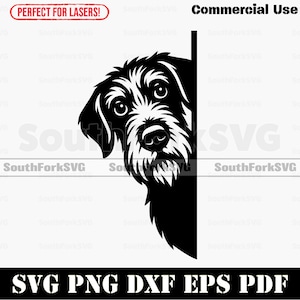 Peeking German Wirehaired Pointer Dog svg png dxf eps pdf | vector graphic cut file laser clip art instant digital download commercial use