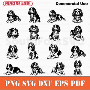 Simples Cavalier King Charles Spaniel Bundle svg png dxf eps pdf vetor arquivo de corte laser clip art download digital instantâneo uso comercial