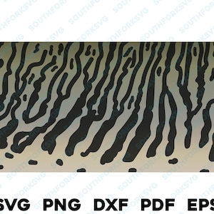 Musky Skin Pattern svg png dxf eps pdf Muskie muskellunge Pike Pickerel trout bass pike crappie fly fishing design vector fishing hunting image 1