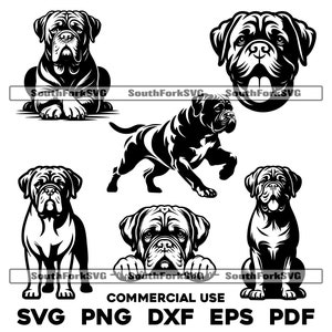 Bordeauxdog Franse Mastiff hond bundel svg png dxf eps pdf | vectorafbeelding snijbestand laserclipart | digitale download commercieel gebruik
