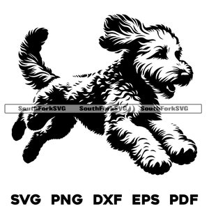 Goldendoodle hondenrennenontwerp | svg png dxf eps pdf | vectorafbeelding snijbestand laserclipart | commercieel gebruik direct downloaden