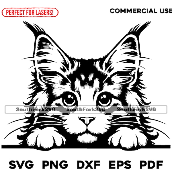 Maine Coon Cat Peeking Design | svg png dxf eps pdf | vector graphic cut file laser clip art | instant digital download commercial use