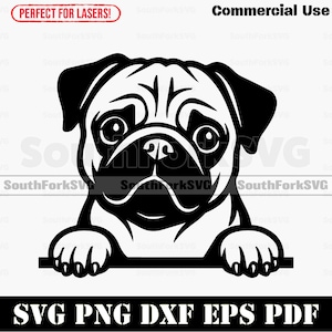 May include: A black and white graphic of a pug dog. The image includes the text "SVG PNG DXF EPS PDF" and "Commercial Use". The image also includes the text "Perfect for Lasers!" and the SouthForkSVG logo.