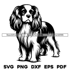 King Charles Spaniel Cachorro em pé | svg png dxf eps pdf | arquivo de corte de gráfico vetorial a laser clip art | download digital instantâneo uso comercial