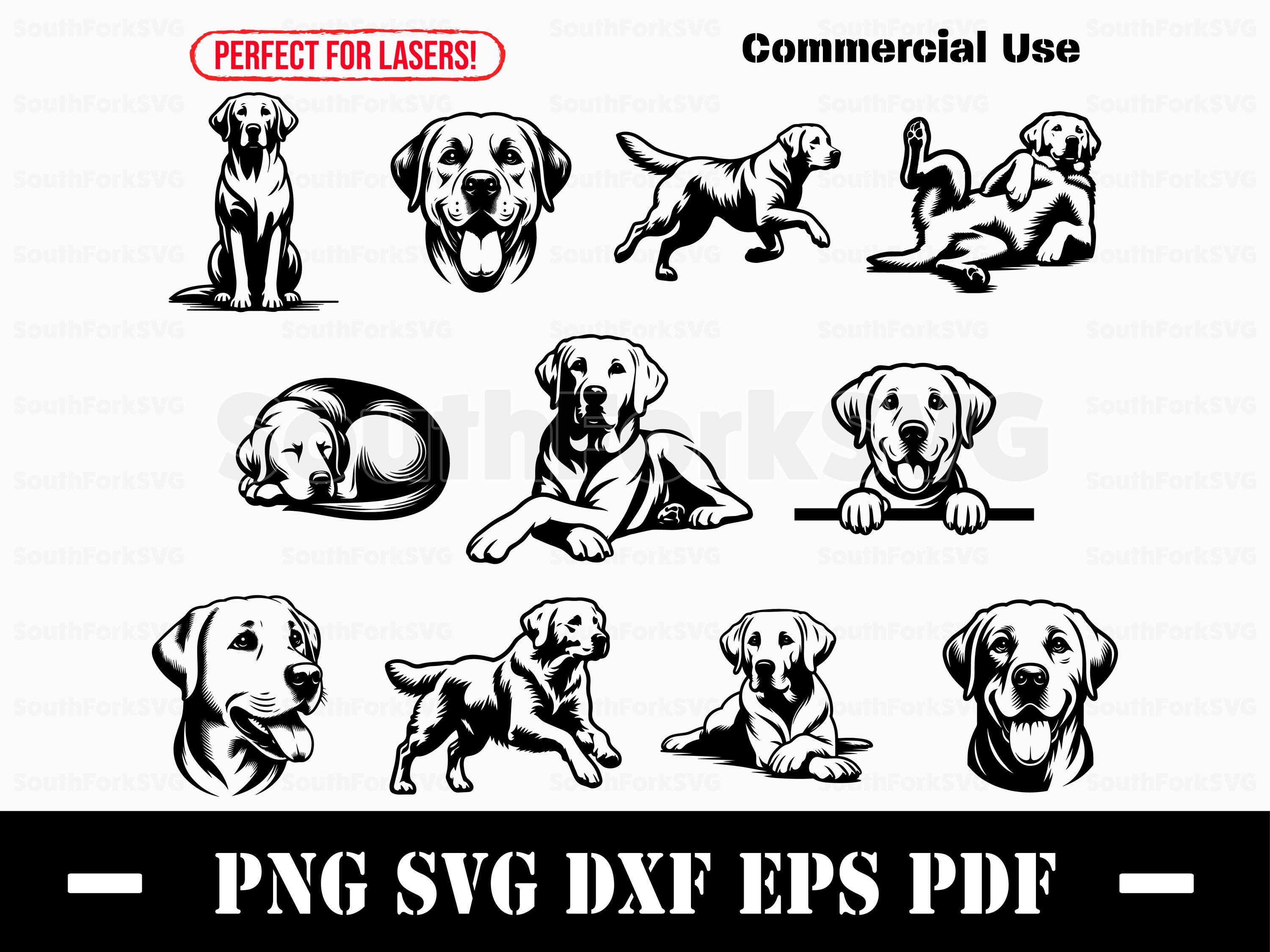 White Lab Labrador Retriever Dog Designs Bundle Svg Png Dxf Eps Pdf ...