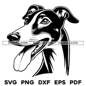 Greyhound Dog Head Design / svg png dxf eps pdf / grafica vettoriale tagliata file laser clip art / download digitale istantaneo uso commerciale