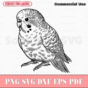 Parkiet Laser/Dye Sub svg png dxf eps pdf | vectorafbeelding snijbestand laserclipart | direct digitaal downloaden voor commercieel gebruik