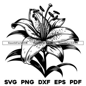 Lily Flower Floral Design svg png dxf eps pdf | arquivo de corte gráfico vetorial laser clip art | download digital instantâneo uso comercial
