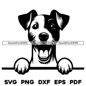Peeking Russell Terrier Dog Head Design svg png dxf eps pdf | vector graphic cut file laser clip art instant digital download commercial use