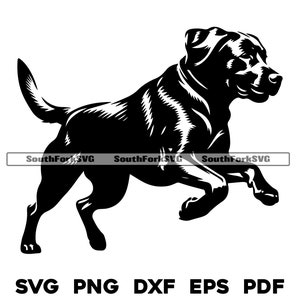 Labrador Retriever Hund Laufendes Design svg png dxf eps pdf | Vektorgrafik Schnittdatei Laser Clip Art Digitaler Download Kommerzielle Nutzung