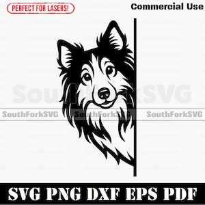 Peering Shetland Sheepdog Dog svg png dxf eps pdf vector graphic cut file laser stencil clip art instant digital download commercial use