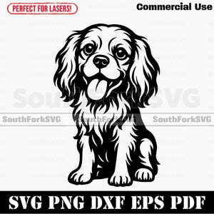 Puede incluir: Gráfico en blanco y negro de un Cavalier King Charles Spaniel sentado con la lengua fuera. La imagen incluye el texto "Commercial Use" y "SVG PNG DXF EPS PDF". También se incluye el texto "Perfect for Lasers!".