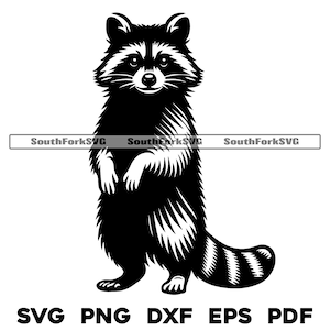 Raccoon Standing Up Design svg png dxf eps pdf | vector graphics design cut print dye sub laser engrave digital files commercial use
