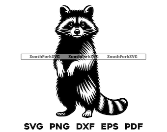 Design de guaxinim em pé svg png dxf eps pdf | design de gráficos vetoriais corte impressão sublimação de tinta gravação a laser arquivos digitais uso comercial