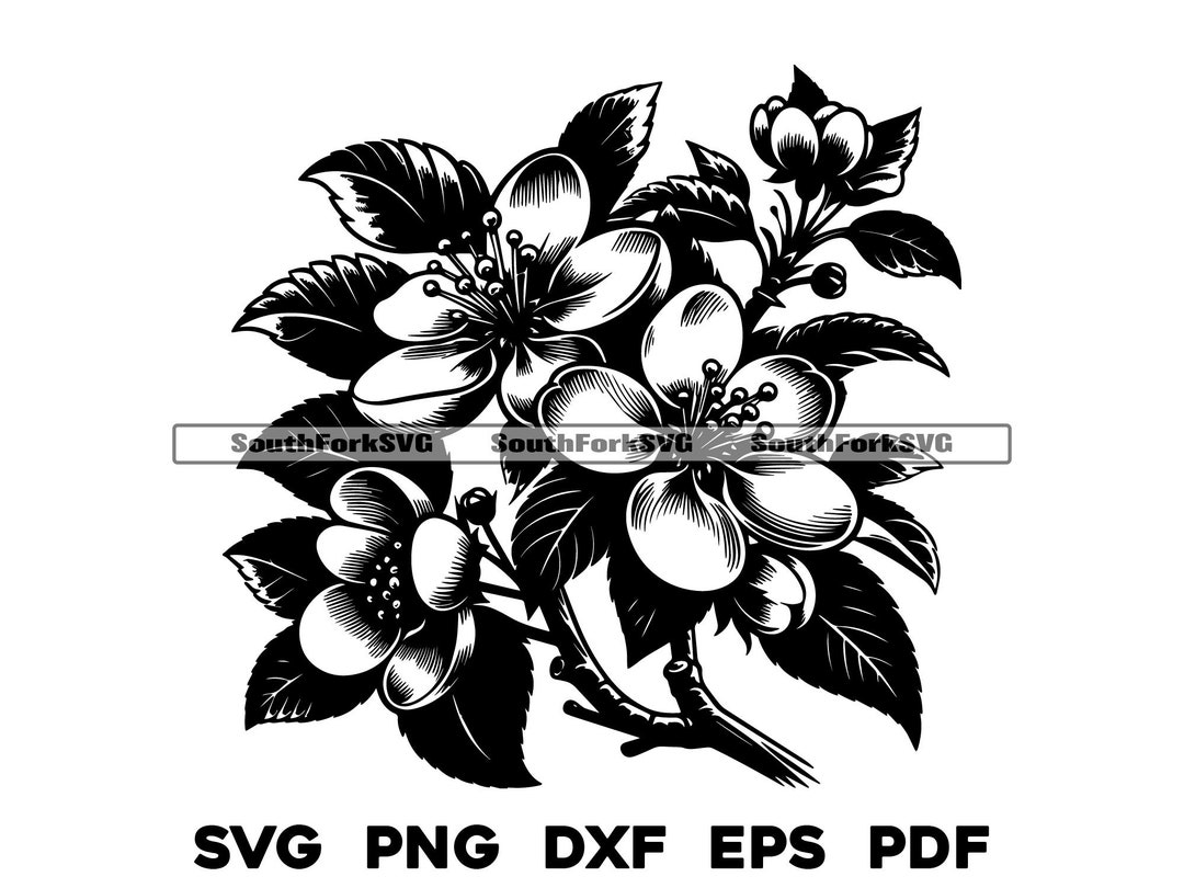 Apple Blossom Flowers Floral Design | Svg Png Dxf Eps Pdf | Vector ...